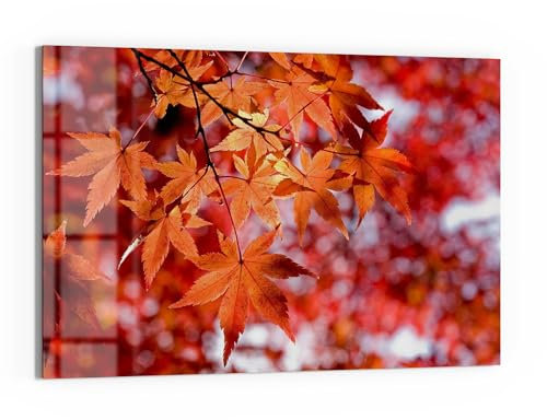 DEQORI Glas-Magnettafel | 60x40 cm cm groß | Motiv Herbstblattglanz | Memo-Board aus Glas | Magnetboard inkl. Magnete, Stift & Tuch für Küche & Büro | Tafel magnetisch & beschreibbar