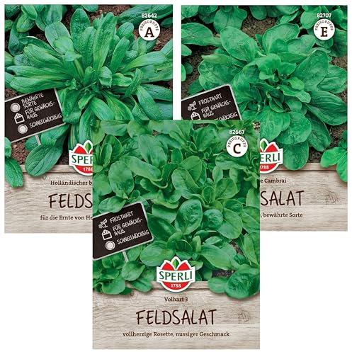 Feldsalat Samen Winterhart Set | 3 Sorten | Extra Frosthart | Wintergemüse Samen | Schnellwachsend | Ertragreich | Feldsalat Saatgut | Wintersalat Samen Winterhart