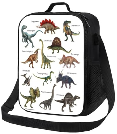 Newhomestyle Dinosaur Lunch Bag for Boy, Insulated Reusable Dino Kids Lunch Box, Cooler Warm Girl Aldult Tote Bags for School Picnic Travel Hiking Camping Work (Stegosaurus, Dimetrodon, Velociraptor)