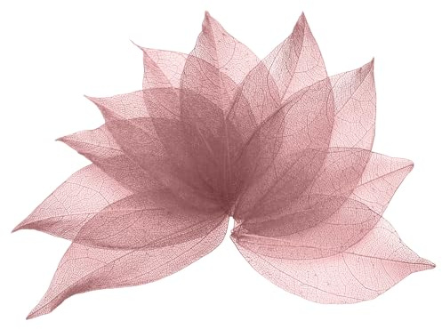 sourcing map 100 hojas de esqueleto rosa oscuro, árbol de goma de 2 a 3 pulgadas, hojas secas prensadas para álbumes de fotos, manualidades, tarjetas de boda, arreglos, decoración de regalos