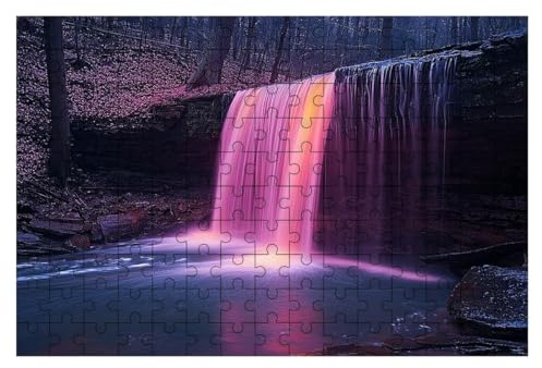 Puzzle 1000 Teile Fallen, Natur Puzzle 1000 Teile Erwachsene, Puzzel für Die Ganze Familie, Klassische Puzzles Geschicklichkeitsspiel, Holzpuzzle für Geschenke für Frauen Männer, Deko Wohnzimmer -1795