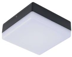 Lucande LED Deckenleuchten Thilo mit Bewegungsmelder (spritzwassergeschützt (Modern) (1 flammig,) - Außenleuchte für Garten Terasse Balkon & Haus Deckenleuchte