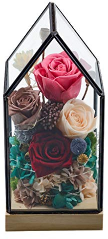 IBOWZ Künstliche Blumen Ewige Blume Glasblumenraum Konservierte Blumengeschenkbox Glänzend Konservierte Echte Rose Jubiläum Bester Freund Freundin Festivalgeschenk Ornamente (Color : A)