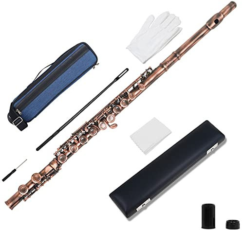 TSTS 16-Loch-C-Key-Flöteninstrument Mit Koffer, Rucksack, Reinigungsstäbchen, Wischhandschuhen, Flötenzubehör Einsteiger Querflöten (Color : 03)