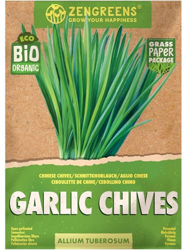 ZenGreens® Semi di aglio cinese biologico - Semi di erbe aromatiche per la coltivazione in giardino, sul balcone o in cucina - Ideali per i principianti - Erba Cipollina Cinese