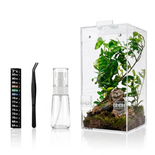 Yahusuhil Springspin-terrarium, 10 x 10 x 20 cm redo att användas i akryl terrarium och miniterrarium, 360° ventilation, för spinnar, Mantis och sniglar, perfekt för skrivbord, vardagsrum och sovrum