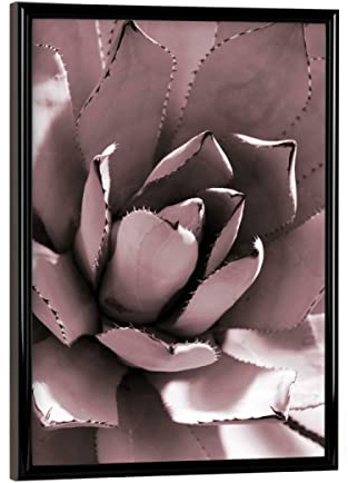 artboxONE Poster mit schwarzem Rahmen 18x13 cm Natur Agave Rosé - Bild Agave Agave Blatt