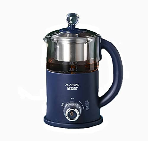 PVGYUJFD Bouilloire en Verre, Bouilloire Électrique Théière Domestique Pot De Santé Multifonction Contrôle Température Entièrement Automatique avec Filtre A, 600 ML (Couleur : B(Onecolor,0.6 litres)