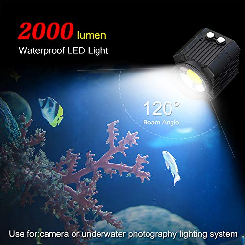 Sea frogs Mini LED Diving Underwater Photography Light Fill Light Flashlight, 120º Wide Lighting Angle Strong,Weak,Flash Modes Fill Light with 1/4Inch Screw Ball Head for Cameras,Phones