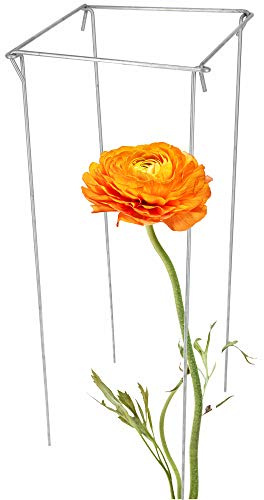 KADAX Pflanzenhalter, Pflanzenstütze aus Stahl, Stabiler Staudenhalter, solide Strauchstütze für Garten, Rosen, Efeu, Farn, freistehend, Buschstütze, wetterfester Staudenhalter (Höhe: 80cm)