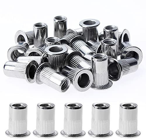 Gueenky 150 Pièces Rivet Ecrou M5, Écrous à Rivets en Acier Inox, Tête Plate Ecrou Insert Assortiment Kit pour Bois Meubles, (10 mm * 12 mm)