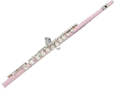 Flötenset für Anfänger vernickelt 16 Löcher C verstellbar offen mit Stoffhülle Bassflöte(Pink)