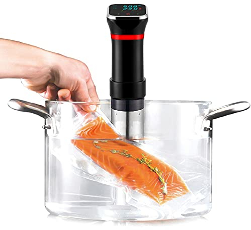 Macchina Sous Vide Precision Cooker 1100W Bagnomaria a immersione con circolazione Sous Vide con controllo accurato della temperatura e del tempo per un'alimentazione sana