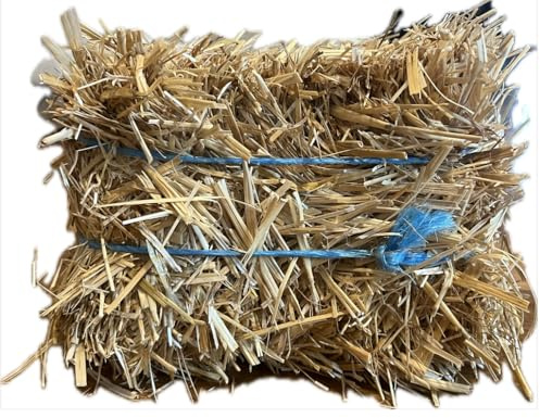Mini Straw Bale – All-Natural Wheat Straw for Rustic Décor, Gardening, Rabbit Bedding, Stray Cat or Dog Bedding, & Crafts | Eco-Friendly & Biodegradable | Grown in The USA by Mini Meadows Family Farm