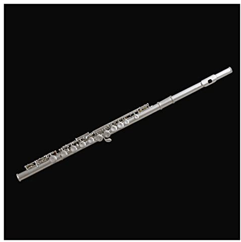 Flûte Traversière Flûte Nickelée C-Tune À 16 Touches À Trous Fermés Et Instrument De Flûte pour Débutant Flûte E-Key