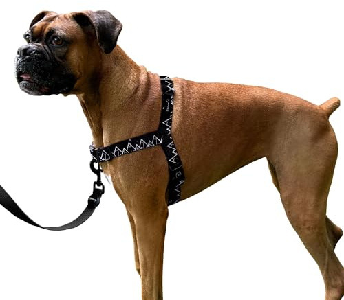 ShawnCo Dream Walk No-Pull Dog Harness- Adjustable, Comfortable, Easy to Use Pet Halter to Help Stop Pulling for Small, Medium and Large Dogs- Art Pattern Designs (Wolf Moon, L)