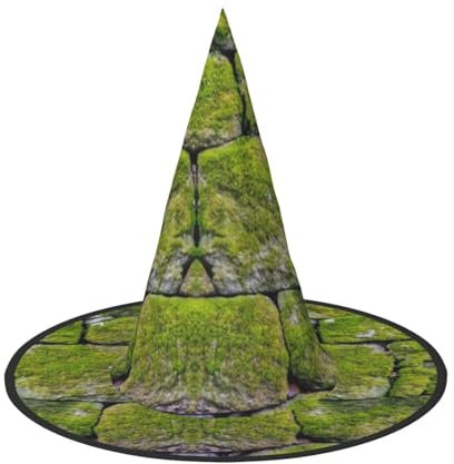 YFSGDLBN Moosstein, Pflaster, bedruckt, Halloween-Hut, Hexenhut, spitzer Hut, dekorativer Hut