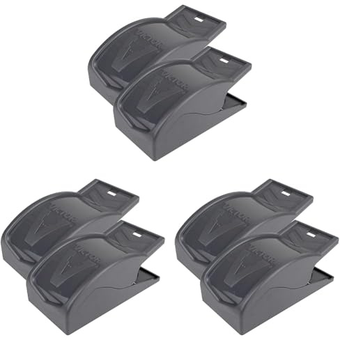PROTECT HOME Mausefallen Easy Catch, Profi-Schlagfallen zur Mäusebekämpfung für Haus und Garten, 2 Stück (Packung mit 3)