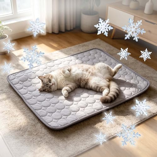 Tapis Rafraichissant Chat Et Chien, Durable Tapis Refroidissant pour Chat Portable, Couverture Rafraichissante Chiens Chaleur Matelas Réfrigérant Animaux, Lavable, Anti-Morsures (01 Gris, 55x70cm)