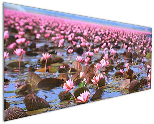 Wallario Küchenrückwand aus Glas 125 x 50 cm, Motiv: Seerosenlandschaft mit rosa Blüten | Spritzschutz abwischbar & pflegeleicht