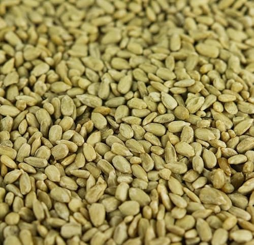 BusyBeaks Sunflower Hearts Wild Bird Food | Finest Bakery-Grade Garden Seed Mix | Husk Free and Dehulled No Mess Seeds | Nutritious Natural and Healthy Feed Mixture | Balanced Vitamin Recipe (1KG)