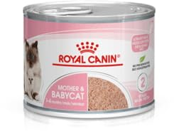 Royal Canin Mother & Babycat Mousse | 12 x 195 g | Alleinfuttermittel für Katzen | Speziell für die Mutterkatze und ihre Welpen | Zur Unterstützung der körpereigenen Abwehrkräfte