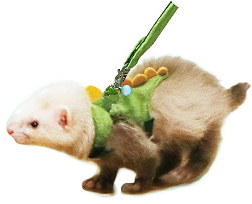 Anelekor Ferret Harness and Leash Set Small Animals Vest Harness with Safe Bell Dinosaur Shaped Walking Clothes for Baby Rabbit Guinea Pig Teacup Chihuahua Mouse and Other Small pet(Green Dinosaur)