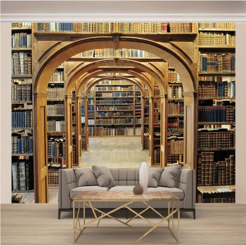 WYXWZ Papier Peint Panoramique Trompe l'oeil 3d Chambre Adulte Enfants Art Papier Peint Intissé Mural Moderne Toison Salon Chambre à Coucherr Salle xl 250 x 175cm (Largeur x Hauteur) Bibliothèque