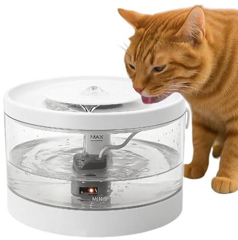 Fuente de Agua para – automática para Gatitos | Fuente de Agua silenciosa filtrada para Cachorros, Gatitos, Perros, múltiples Mascotas, hogar Interior