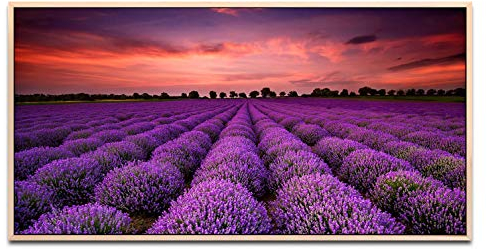 Lavendel ca. 130x70cm Wandbild inklusive Schattenfugenrahmen naturfarbend - Panorama Leinwand Bild XXL Format Wandbilder Wohnzimmer Wohnung Deko Kunstdrucke