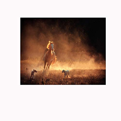 Fotomurales Caballo al atardecer200x140cm Decoración de Pared decorativos Murales moderna de Papel Pintado Sala Living Oficina Dormitorio