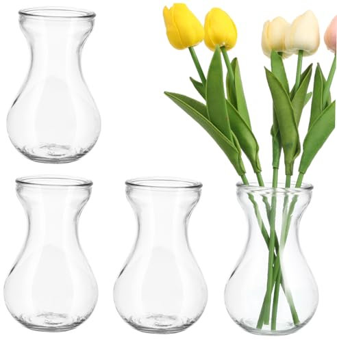 BESPORTBLE 4pcs Glass Vase Hydroponic Planter for Desktop Plants Greenery Arrangement Home Office Decoration