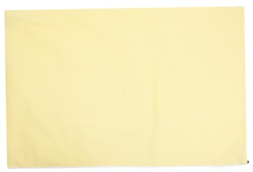 Homoyoyo Housse de Protection Plantes Non Tissée avec Cordon Protection Hiver Gel Vent et Neige pour Arbustes Petits Arbres et Jardinières