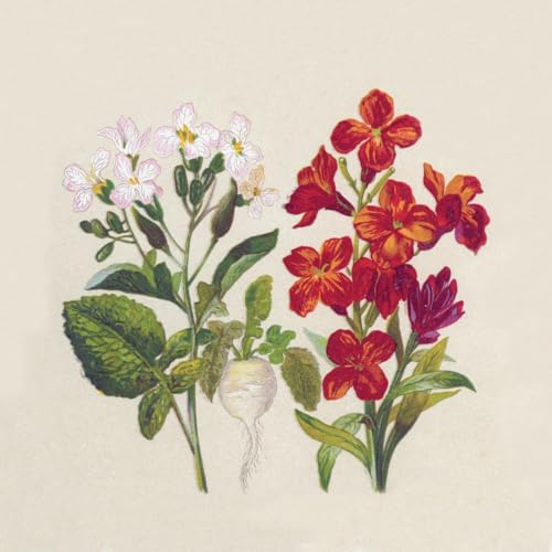 25 nachhaltige Servietten aus Recycling-Papier Blumen Natürliche Blumenarten als Tischdeko. Papierservietten mit Motiv. Ökologisch nachhaltige Deko aus recyceltem Papier. 33x33cm