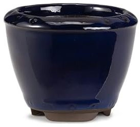Certrè - Vaso Bonsai per Erbe di Compagnia, Colore Blu Scuro (Smaltato)| 8x7 cm (È POSSIBILE SCEGLIERE SOLO IL COLORE DEL VASO. LA FORMA SARÀ IN BASE ALLE DISPONIBILITÀ DEL MAGAZZINO)