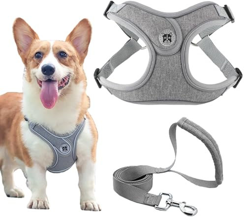 Hundegeschirr und Leine Set, Verstellbares Welpengeschirr, reflektierendes Step in Welpengeschirr, Hundegeschirr Kein Ziehen, Geschirre Kleine Hunde mit Leine, für Kleine Hunde, Katzen