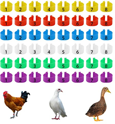 CYWVYNYT 48 stycken kycklingar benringar flerfärgad kyckling identifiering benband numrerad klämma på fjäderfä benringar för Gamefowl kalkon anka gås Guinea (20 mm)