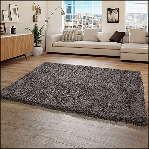 Paco Home Tapis Poils Hauts Moelleux Moderne Shaggy Style Flokati Confortable Uni Anthracite, Dimension:120x160 cm