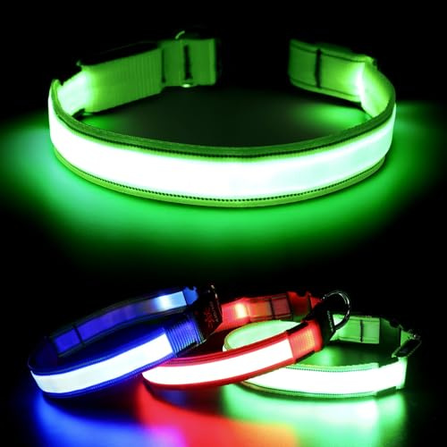 Visinite Leuchtendes LED-Hundehalsband, wiederaufladbar, wasserdicht, reflektierend, verstellbar, blinkend für mittelgroße und große Hunde, Grün, Größe M