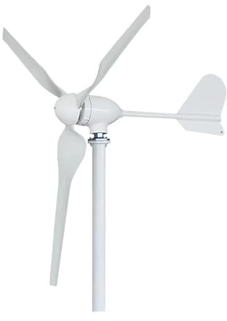 Wind Turbine Generator 2000w 48V 24V 12V Windmill Horizontal Wind Generator Kit Mppt Controller for Home Use for Emergency Power Generation(with MPPT Controller,48V_2000W)