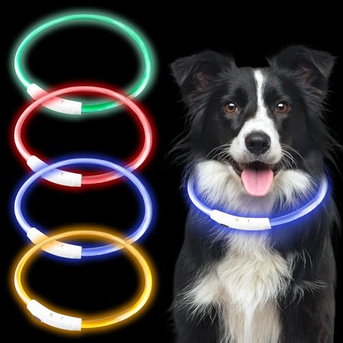 4 Stück USB Leuchthalsband Hund, 3 Blitzmodi Leuchtendes Hundehalsband Wiederaufladbar, Längenverstellbares LED-Halsband Wasserdicht Hohe Sichtbarkeit für Mittlere Hunde (Rot, Gelb, Blau, Grün, L2)