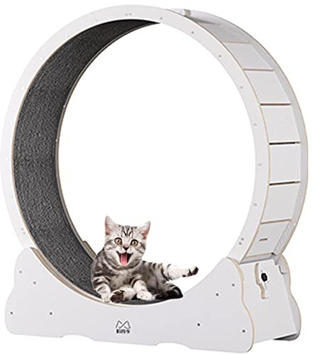 Katzenlaufrad für Wohnungskatzen, leises Mittelgroßes Laufrad mit Bremse, Robustes Spielzeug für Haustierkatzen, ideal für Indoor-Aktivität