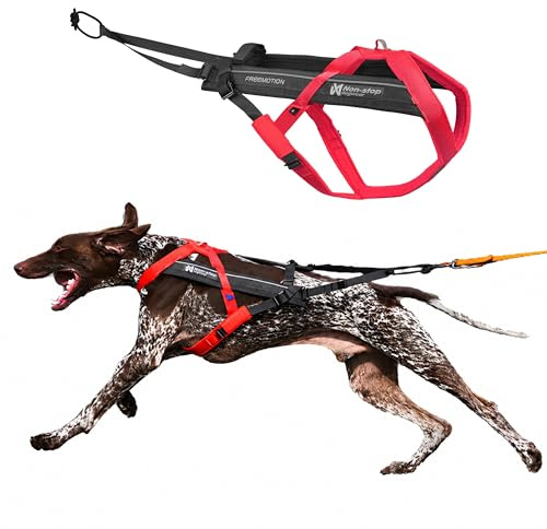 Non-stop dogwear FREEMOTION Harness 5.0 |111| Hundegeschirr für alle Sportarten, Größe:9