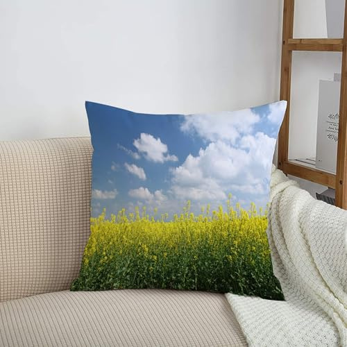 HRRASFAZF Printed Throw Pillow Covers Pillow Case Home Decorative Cushions Accessories for Home Bedroom Living Room,Beautiful flowering rapeseed field under white clouds and blue sky, landsc,50x50 cm