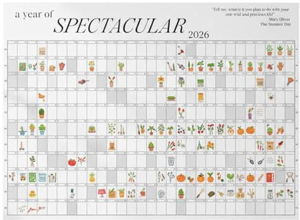Calendario da Parete 2026 | Planner Annuale 120x76 cm | Calendario Pianificatore Da Parete | Per Casa Scuola Salotto Studio Aula Ufficio Studenti Insegnanti Consulenti Officina Studio