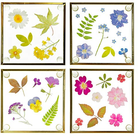 Sass & Belle Posavasos de cristal de flores prensadas
