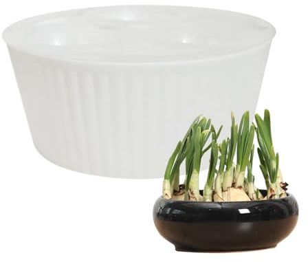 Fioriera per bulbi, contenitore per giacinto a 3 fori, vaso idroponico, giardinieri, appartamenti, uffici, insegnanti, anziani, principianti, forniture da cucina per davanzali interni