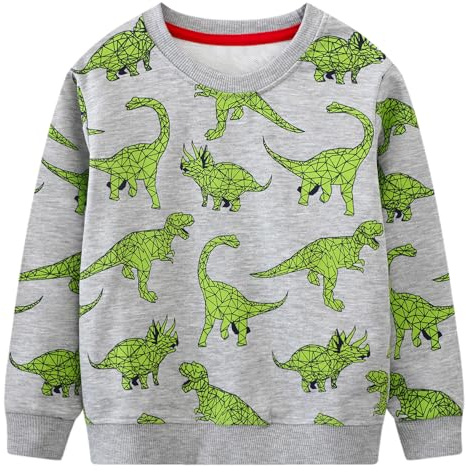 Gumyoss tröjor pojkar tröjor bomull för barn pojkar tröja med dinosaurietryck för pojkar ålder 2–7 år, Dinosaurie grå 2, 110