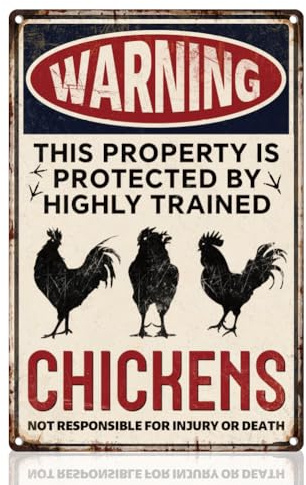 DOODLREAM Funny Chicken Coop Warning Retro Wall Decor Metal Tin Sign 20 x 30cm Property Protected by Chickens Vintage Wall Art Poster for Farmhouse Garden Outdoor Clubs Decor Gift