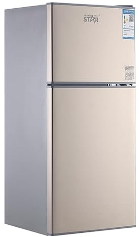 Emirate Winningstar 2 Door Refrigerator | Large Capacity Fridge for Home Kitchen